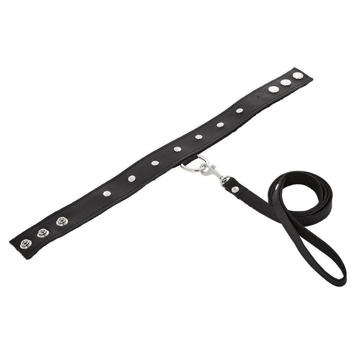 Sportsheets Restraint Leather Leash & Collar