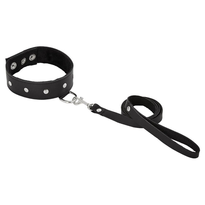 Sportsheets Restraint Leather Leash & Collar